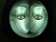 Precision Engineering